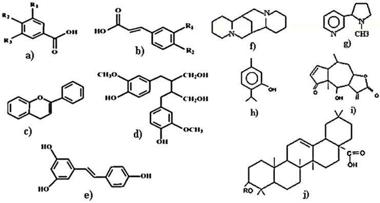 https://cdn.ncbi.nlm.nih.gov/pmc/blobs/f22a/6930476/0ef919744a66/molecules-24-04354-g002.jpg