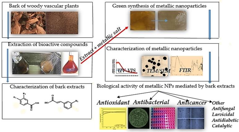 https://cdn.ncbi.nlm.nih.gov/pmc/blobs/f22a/6930476/f9f04c52fa82/molecules-24-04354-g001.jpg