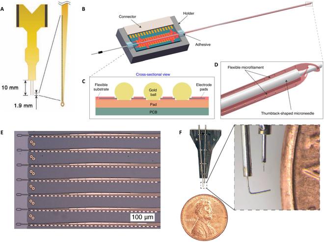 https://cdn.ncbi.nlm.nih.gov/pmc/blobs/f22b/12046227/991351ab16f9/cbsystems.0249.fig.005.jpg