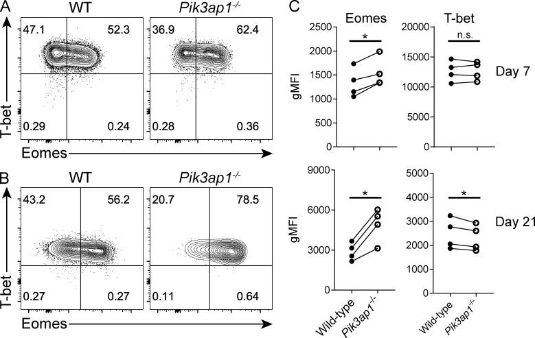 https://cdn.ncbi.nlm.nih.gov/pmc/blobs/f22b/6122975/6fcbb410416a/JEM_20171820_Fig7.jpg