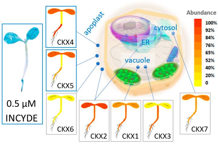 https://cdn.ncbi.nlm.nih.gov/pmc/blobs/f22b/7698199/33779b97b919/plants-09-01563-g008.jpg