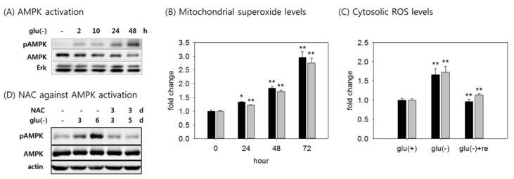 https://cdn.ncbi.nlm.nih.gov/pmc/blobs/f22d/6356350/270adaa8eac3/cells-08-00011-g002.jpg