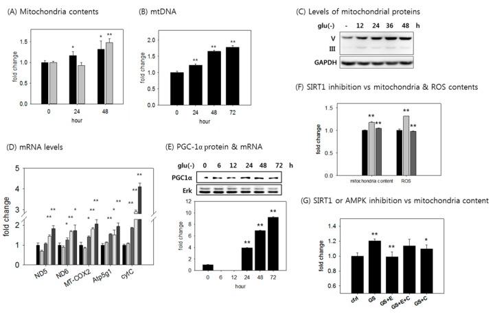 https://cdn.ncbi.nlm.nih.gov/pmc/blobs/f22d/6356350/2db589035785/cells-08-00011-g004.jpg
