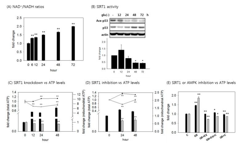 https://cdn.ncbi.nlm.nih.gov/pmc/blobs/f22d/6356350/c71ed1a38e88/cells-08-00011-g003.jpg