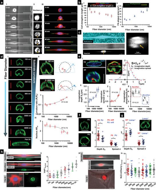 https://cdn.ncbi.nlm.nih.gov/pmc/blobs/f22e/9443471/022d6bcaf232/ADVS-9-2203011-g005.jpg