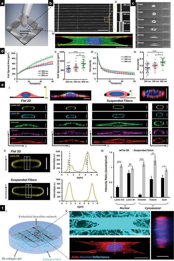 https://cdn.ncbi.nlm.nih.gov/pmc/blobs/f22e/9443471/a2fc5134fcda/ADVS-9-2203011-g007.jpg