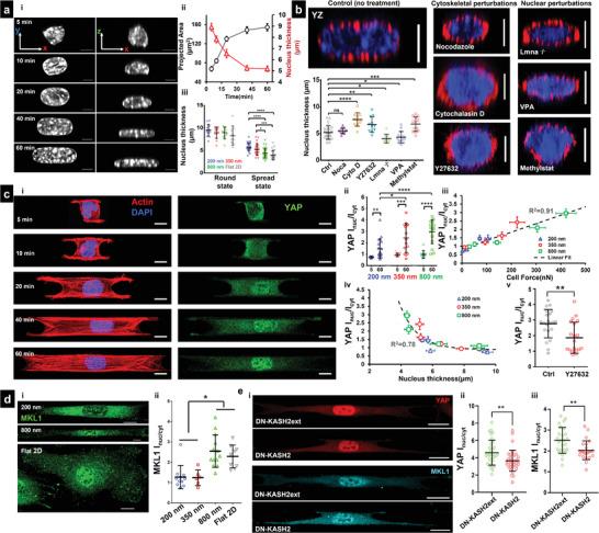 https://cdn.ncbi.nlm.nih.gov/pmc/blobs/f22e/9443471/fd64f34814f7/ADVS-9-2203011-g003.jpg