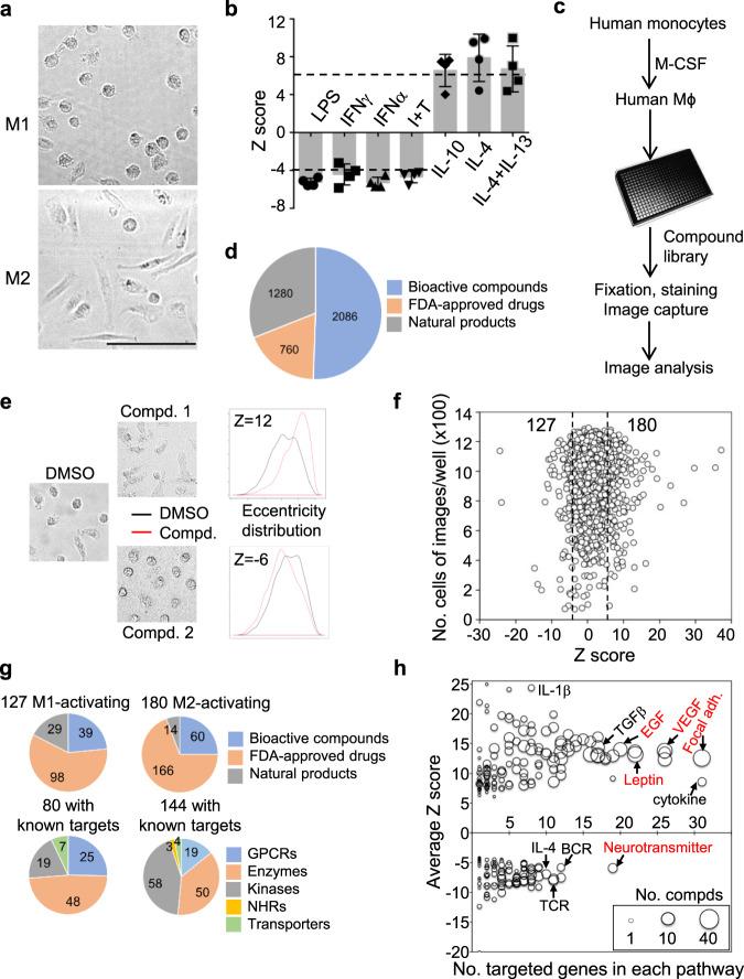https://cdn.ncbi.nlm.nih.gov/pmc/blobs/f22f/7858590/bd13e8fe1f19/41467_2021_21066_Fig1_HTML.jpg