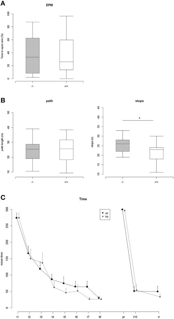 https://cdn.ncbi.nlm.nih.gov/pmc/blobs/f235/4364253/85b345b7fec2/fncel-09-00075-g0003.jpg
