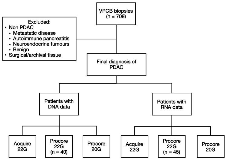 https://cdn.ncbi.nlm.nih.gov/pmc/blobs/f236/11445693/e9e835643d5d/cureus-0016-00000068431-i01.jpg