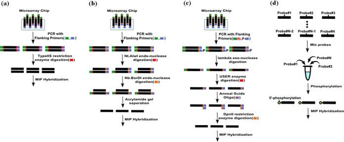 https://cdn.ncbi.nlm.nih.gov/pmc/blobs/f236/4357688/0c83214309b4/gku1188fig1.jpg