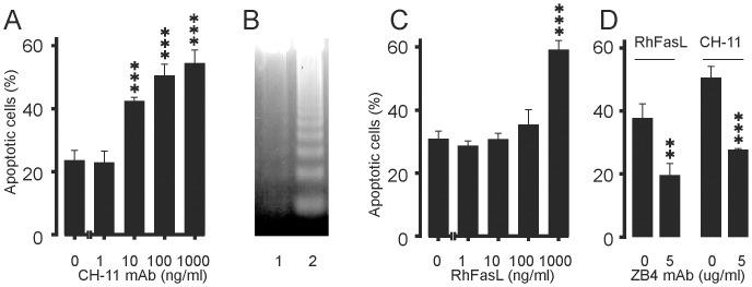 https://cdn.ncbi.nlm.nih.gov/pmc/blobs/f238/3938678/1b6b327c6595/pone.0090298.g002.jpg
