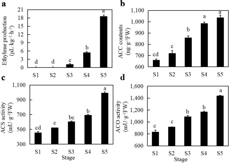 https://cdn.ncbi.nlm.nih.gov/pmc/blobs/f238/8245559/b25d601c6cf4/41598_2021_92832_Fig2_HTML.jpg