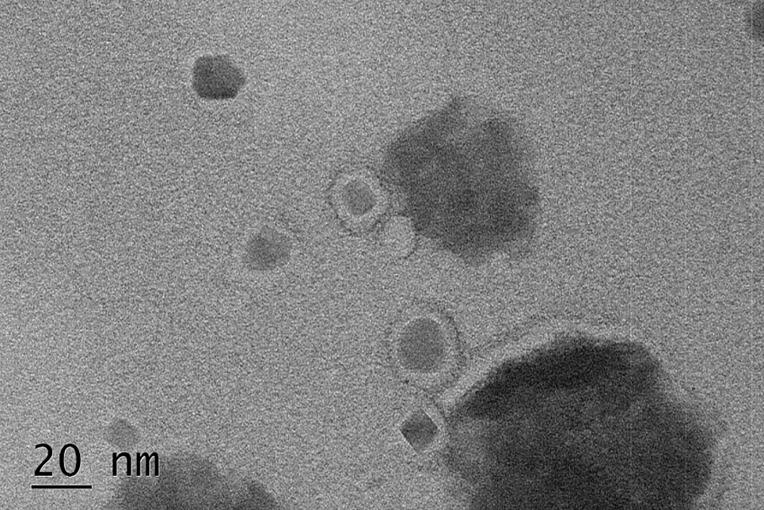 https://cdn.ncbi.nlm.nih.gov/pmc/blobs/f238/8989969/7190b0023edf/fonc-12-811783-g004.jpg