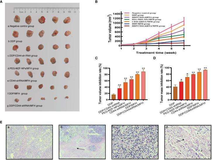 https://cdn.ncbi.nlm.nih.gov/pmc/blobs/f238/8989969/b6faf71d01ce/fonc-12-811783-g006.jpg