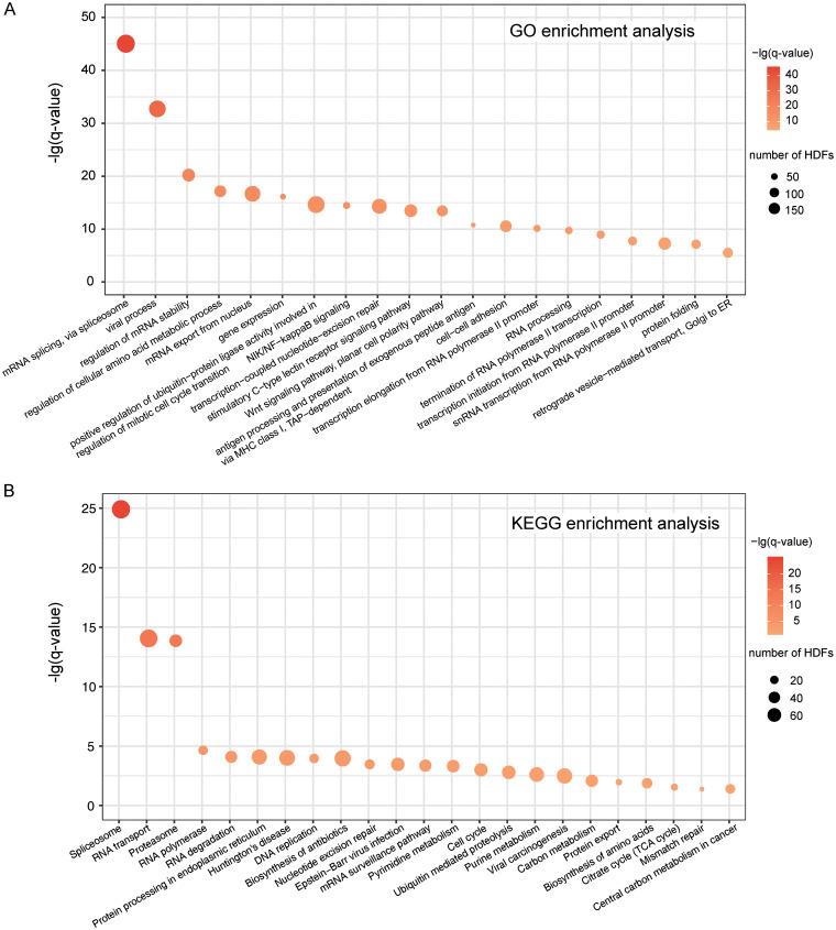 https://cdn.ncbi.nlm.nih.gov/pmc/blobs/f23e/7646529/381c7bd98264/mSystems.00960-20-f0006.jpg