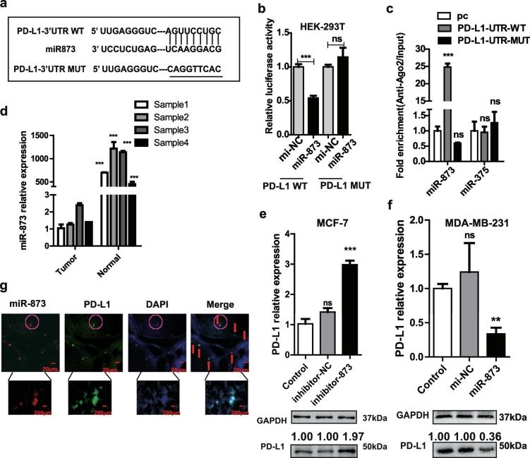 https://cdn.ncbi.nlm.nih.gov/pmc/blobs/f23f/6444076/57db18c48416/gr2.jpg