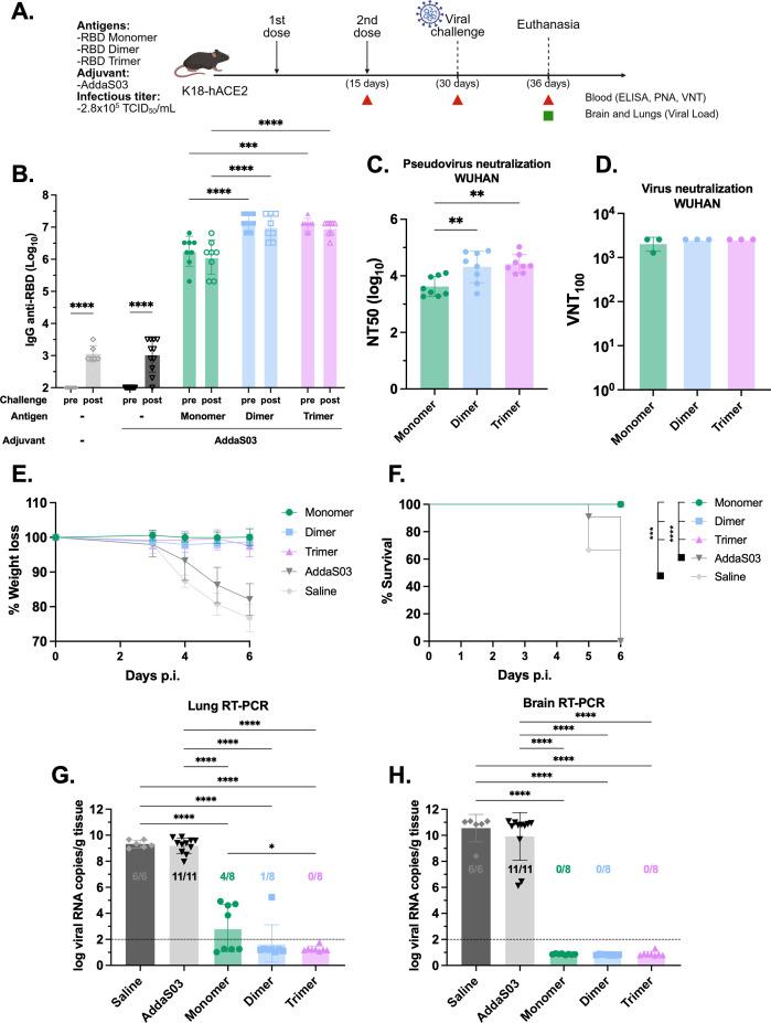 https://cdn.ncbi.nlm.nih.gov/pmc/blobs/f240/12310705/c089a1fcb80b/fimmu-16-1610422-g003.jpg