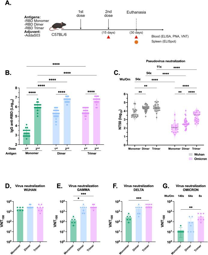 https://cdn.ncbi.nlm.nih.gov/pmc/blobs/f240/12310705/f1daf39d6373/fimmu-16-1610422-g002.jpg