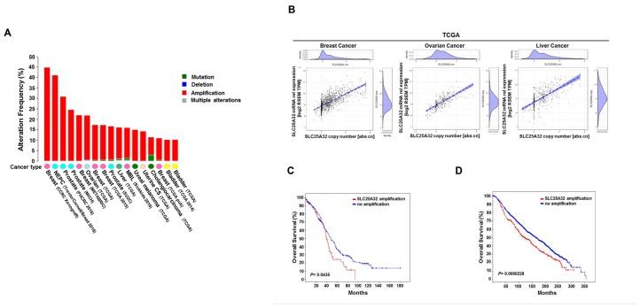 https://cdn.ncbi.nlm.nih.gov/pmc/blobs/f240/7055544/8007443dc3b3/oncotarget-11-801-g001.jpg