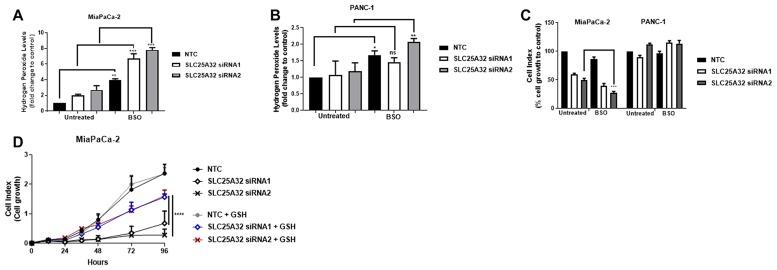 https://cdn.ncbi.nlm.nih.gov/pmc/blobs/f240/7055544/dfb969f76e13/oncotarget-11-801-g006.jpg