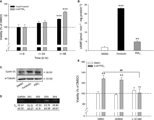 https://cdn.ncbi.nlm.nih.gov/pmc/blobs/f241/4288364/495049857630/jcmm0019-0210-f1.jpg