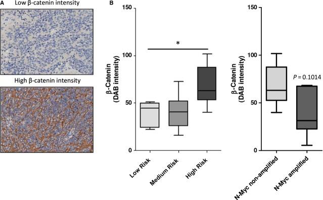 https://cdn.ncbi.nlm.nih.gov/pmc/blobs/f241/4288364/b99bdca77650/jcmm0019-0210-f8.jpg