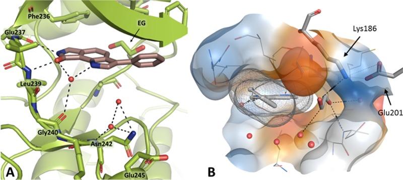 https://cdn.ncbi.nlm.nih.gov/pmc/blobs/f241/5933782/114fa56c23f3/pone.0196761.g007.jpg