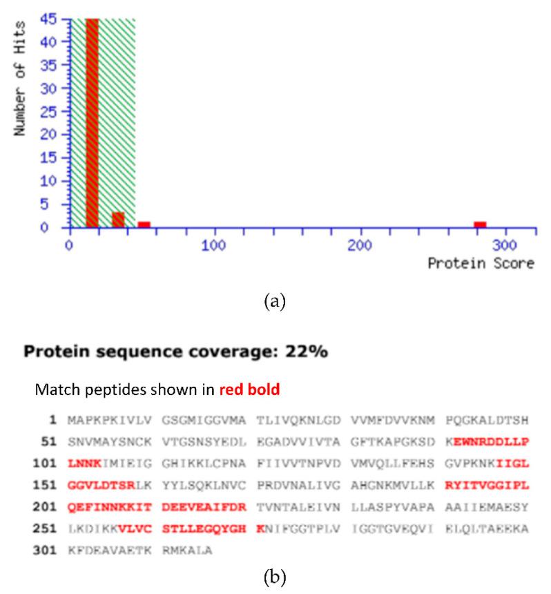 https://cdn.ncbi.nlm.nih.gov/pmc/blobs/f241/8588329/1dd846520ac7/molecules-26-06625-g005.jpg