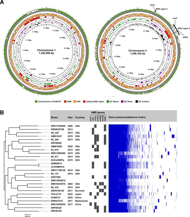 https://cdn.ncbi.nlm.nih.gov/pmc/blobs/f242/11448248/7669c3f1a1d0/spectrum.00562-24.f001.jpg