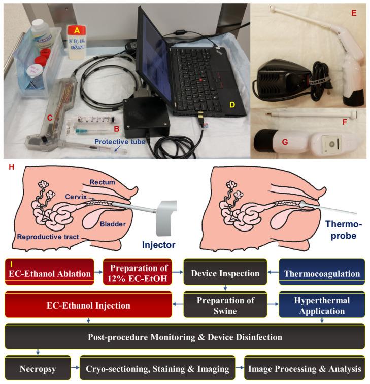 https://cdn.ncbi.nlm.nih.gov/pmc/blobs/f245/10669649/056e97bdda06/bioengineering-10-01246-g001.jpg