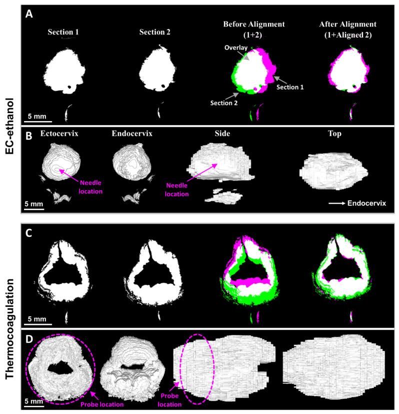 https://cdn.ncbi.nlm.nih.gov/pmc/blobs/f245/10669649/65860908d5fe/bioengineering-10-01246-g006.jpg