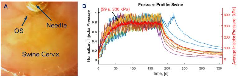 https://cdn.ncbi.nlm.nih.gov/pmc/blobs/f245/10669649/89e641bc8361/bioengineering-10-01246-g002.jpg