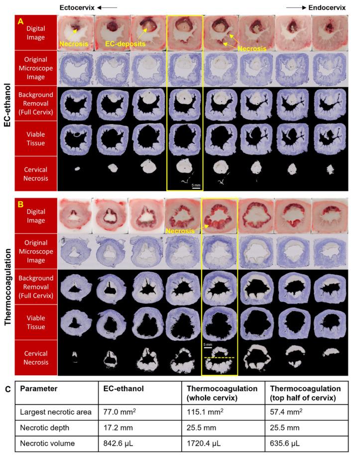 https://cdn.ncbi.nlm.nih.gov/pmc/blobs/f245/10669649/f52a4218ad15/bioengineering-10-01246-g005.jpg