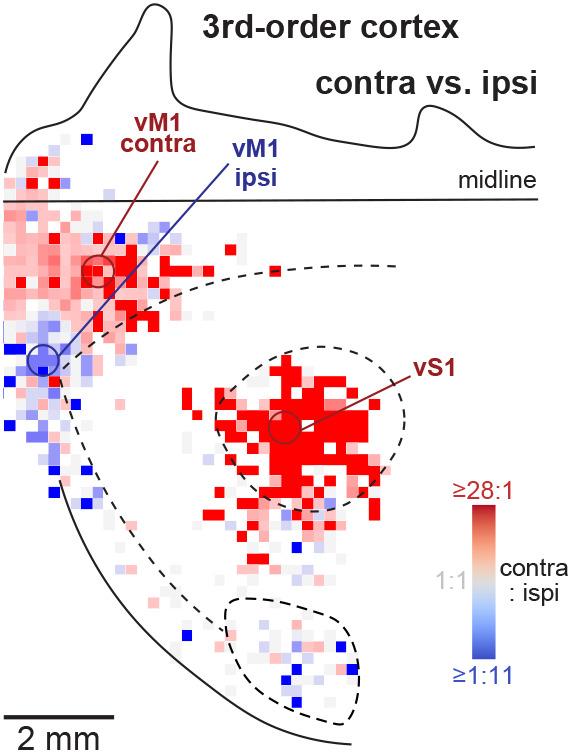 https://cdn.ncbi.nlm.nih.gov/pmc/blobs/f248/12167980/41782f693d26/pnas.2503325122fig03.jpg