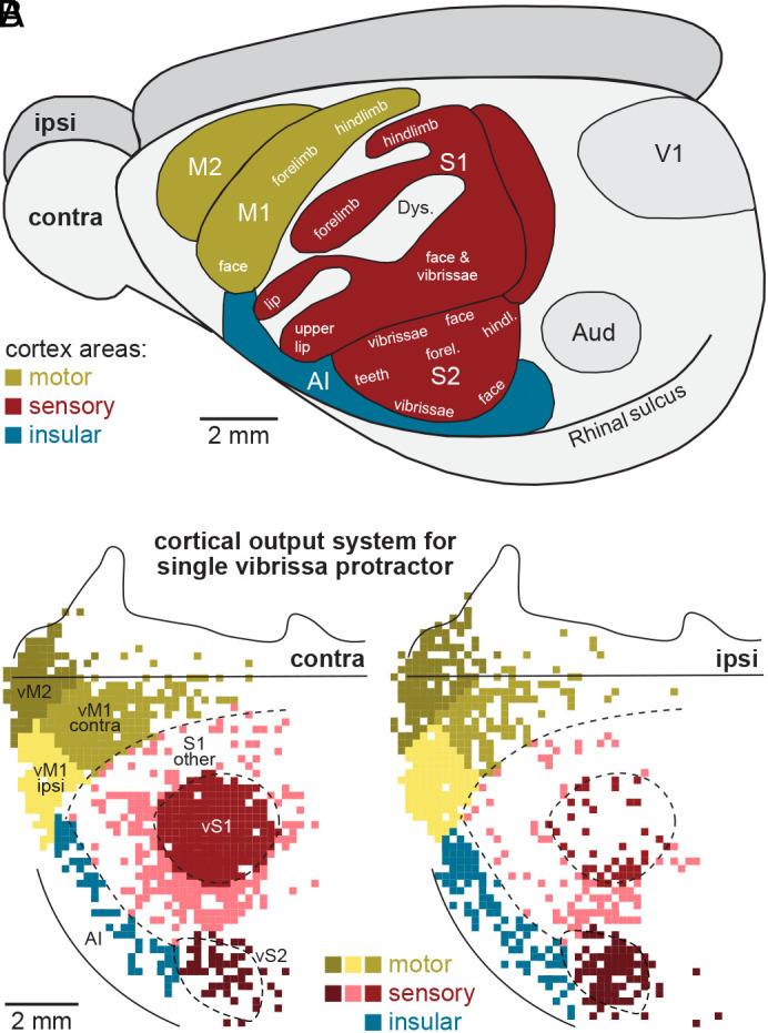 https://cdn.ncbi.nlm.nih.gov/pmc/blobs/f248/12167980/7068c1b96743/pnas.2503325122fig06.jpg