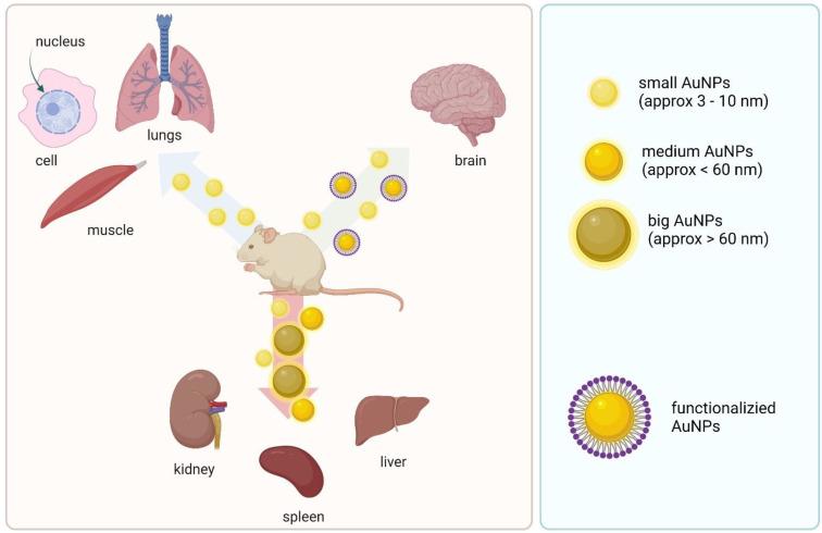 https://cdn.ncbi.nlm.nih.gov/pmc/blobs/f248/9105202/88403692c716/materials-15-03355-g002.jpg