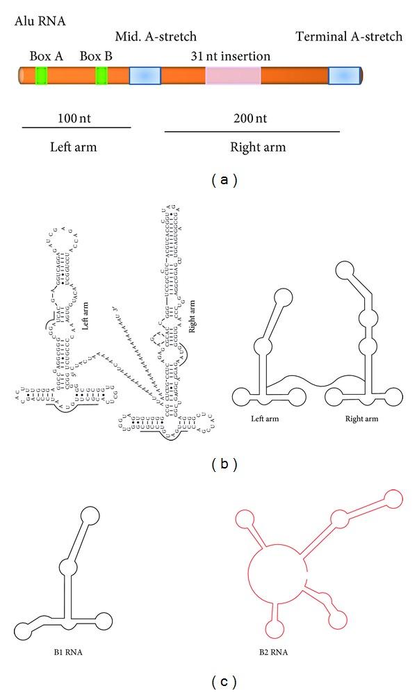 https://cdn.ncbi.nlm.nih.gov/pmc/blobs/f24a/3820591/1b03c697fe57/SCIENTIFICA2012-545328.001.jpg