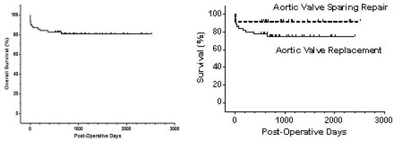 https://cdn.ncbi.nlm.nih.gov/pmc/blobs/f24a/4389436/b2ecb4e78db8/rbccv-28-04-0435-g01.jpg