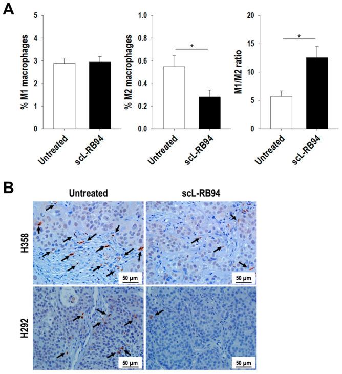 https://cdn.ncbi.nlm.nih.gov/pmc/blobs/f24a/9600612/62d3924c4d2b/cancers-14-05092-g005.jpg