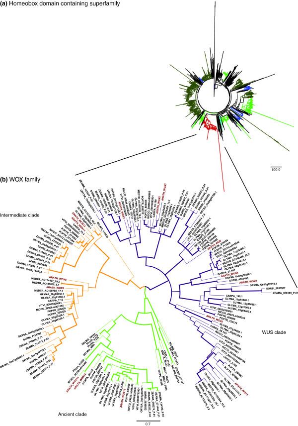 https://cdn.ncbi.nlm.nih.gov/pmc/blobs/f24b/2812940/651c51a593da/gb-2009-10-12-248-1.jpg