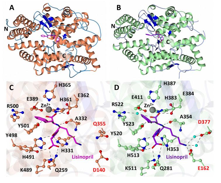 https://cdn.ncbi.nlm.nih.gov/pmc/blobs/f24d/11300679/8a4ce357a119/bsr-44-bsr20240130-g3.jpg