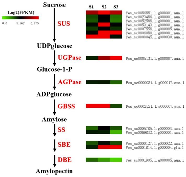 https://cdn.ncbi.nlm.nih.gov/pmc/blobs/f250/6747174/707dc4a73018/ijms-20-04303-g006.jpg