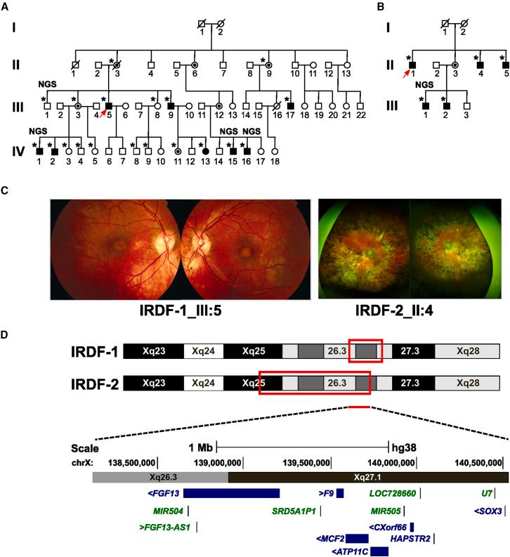 https://cdn.ncbi.nlm.nih.gov/pmc/blobs/f253/11947168/2ecd19eefe57/gr1.jpg