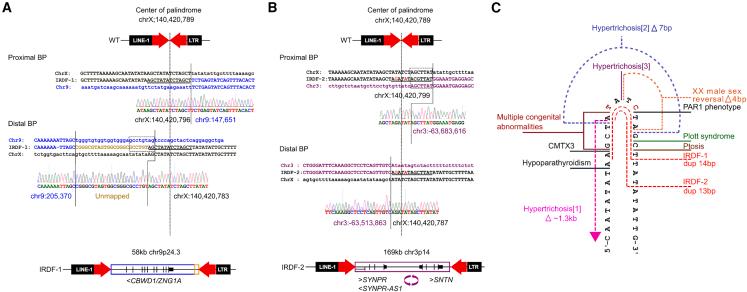 https://cdn.ncbi.nlm.nih.gov/pmc/blobs/f253/11947168/db8fe4ce67b5/gr2.jpg
