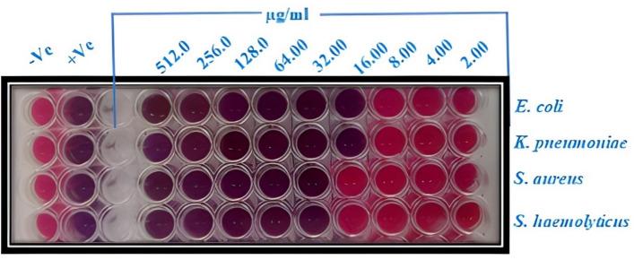 https://cdn.ncbi.nlm.nih.gov/pmc/blobs/f253/12311194/5d0281fb324c/41598_2025_11838_Fig6_HTML.jpg