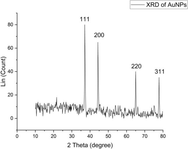 https://cdn.ncbi.nlm.nih.gov/pmc/blobs/f253/12311194/b15569b4d1f7/41598_2025_11838_Fig3_HTML.jpg