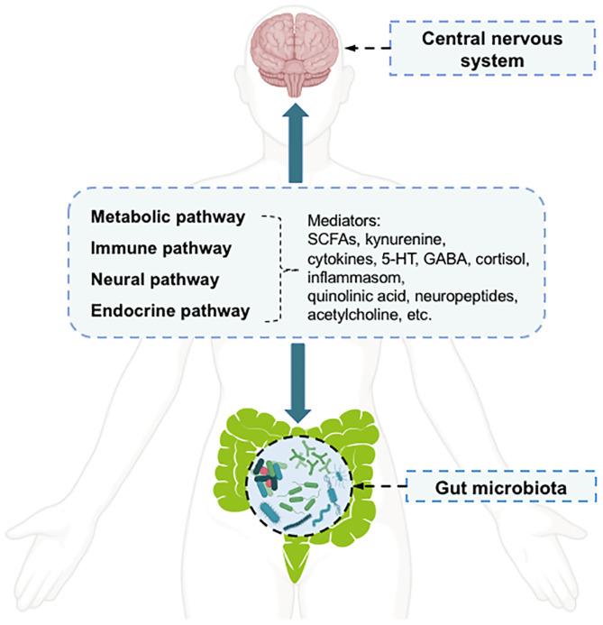 https://cdn.ncbi.nlm.nih.gov/pmc/blobs/f253/7819979/b29dd882319b/fpsyt-11-587670-g0001.jpg