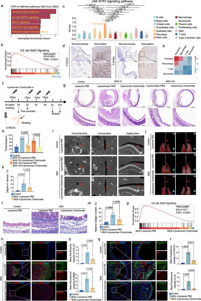 https://cdn.ncbi.nlm.nih.gov/pmc/blobs/f254/11698984/41302688339e/41467_2024_55170_Fig6_HTML.jpg