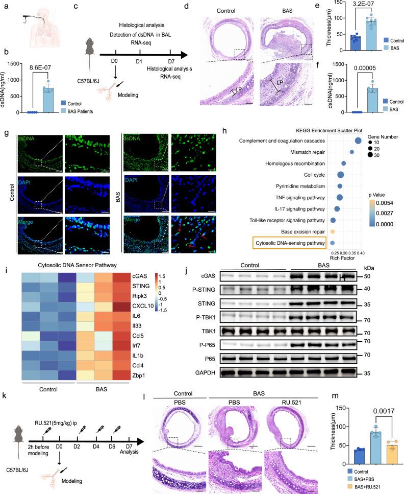 https://cdn.ncbi.nlm.nih.gov/pmc/blobs/f254/11698984/75c0e87fe1c1/41467_2024_55170_Fig2_HTML.jpg